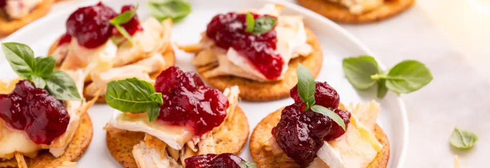 Party appetizers with roasted turkey, brie and cranberry sauce on crackers