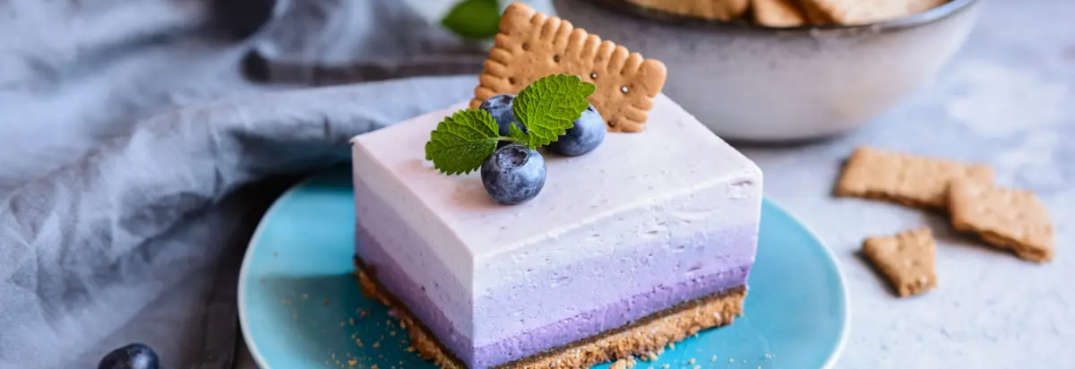 Blueberry dessert
